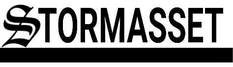 Stormassets logo